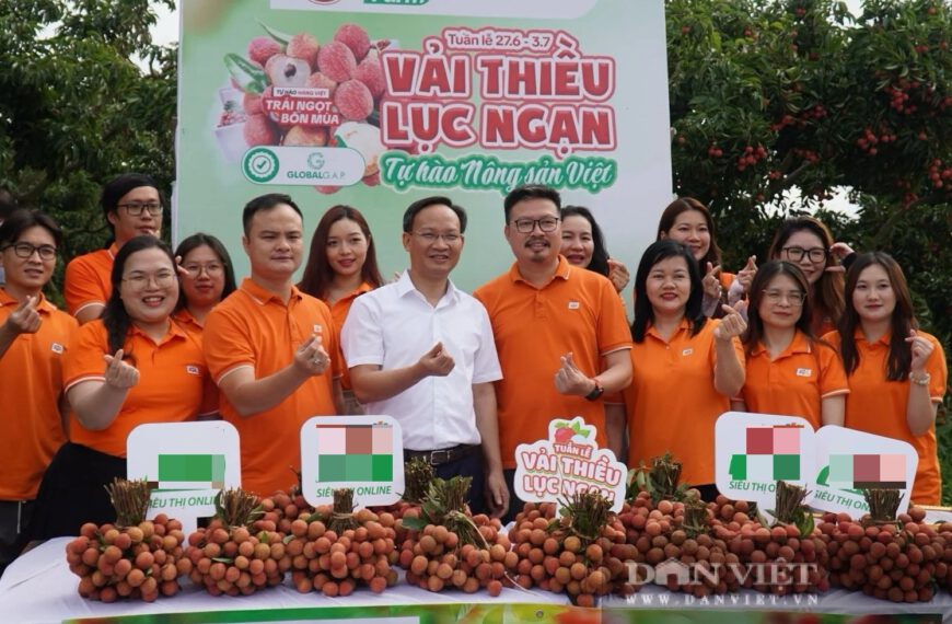 Phó Chủ tịch Bắc Ninh Lần Đầu Livestream: 6 Giờ – 54 Tấn Vải “Chốt Sạch”